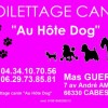 toilettage canin au hote dog  Cabestany