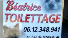 Batrice Toilettage  Gaillac