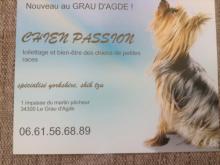 Chien passion  Agde