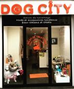 DOG CITY  Lyon 2me arrondissement