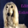 edith toilettage  Le Soler